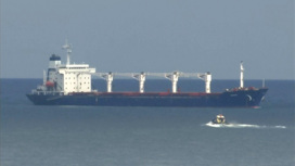 Из портов Украины вышли еще три судна с зерном