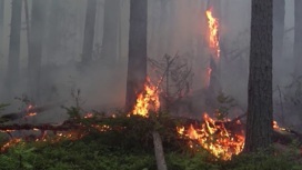 Шесть природных пожаров действуют на территории Свердловской области