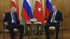 Путин обсудил с Эрдоганом атом, газ и зерно