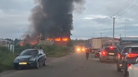Очевидцы сняли крупный пожар на складе Мурино