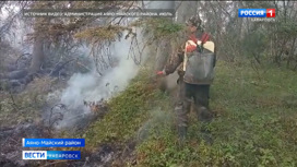 В Хабаровском крае потушены все лесные возгорания в зоне досягаемости пожарных