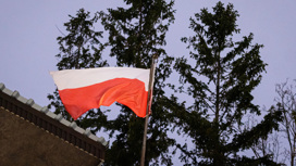 СМИ: Польша передала Украине МиГи под видом запчастей