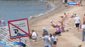 Активисты ОНФ проверили доступные пляжи Хабаровска