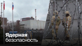 Киев препятствует миссии МАГАТЭ на Запорожской АЭС