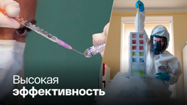 "Спутник V" стал самым экспортируемым препаратом России
