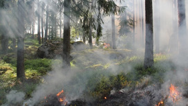 Ярославское МЧС предупредило о чрезвычайной пожароопасности в 3 районах