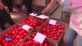 Как себя поведут цены в этом сезоне на сельхоз продукцию? Репортаж с главного рынка Якутска.