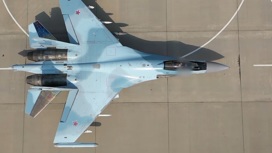 Российский Су-35 сбил украинский МиГ-29