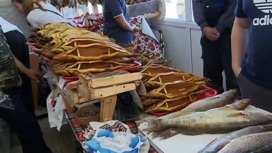 Уголовное дело по факту незаконной реализации рыбы возбуждено в Тюменской области