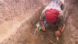 Археологи Исторического музея исследуют могильник рязано-окских финнов в Рязанской области