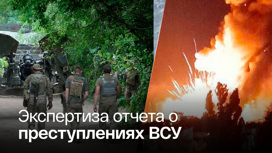 Доклад о нарушениях Киевом военного права проверят на международном уровне