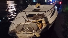 Катер врезался в берег на реке в Петербурге, есть пострадавшие