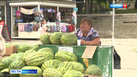 Без риска отравиться: Где в Хабаровске найти свежие арбузы