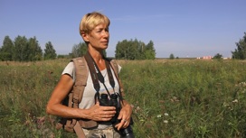Дежурный по птицам: орнитолог рассказала, как работает в аэропорту Челябинска