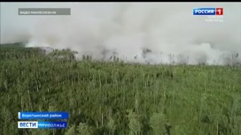 Лесной пожар бушует в Воротынском районе Нижегородской области: введен режим ЧС