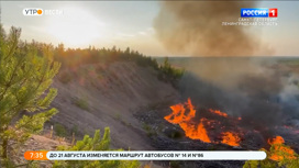 Под Каменкой местные жители обнаружили крупное возгорание в лесу