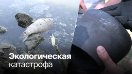 В Донецке зашкаливают показатели аммиака в воздухе
