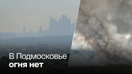Дым от пожаров идет из Рязанской области в столицу