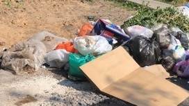 Три стихийные свалки мусора ликвидировали в Иванове