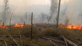 В Нижегородской области разбушевался лесной пожар