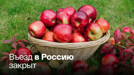 Молдавские фрукты остались без покупателя