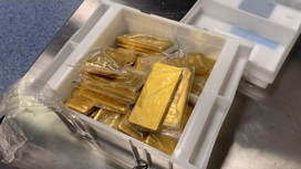 В ручной клади попытались вывезти 225 кг золота