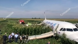Стали известны причины аварийной посадки самолета на кукурузном поле