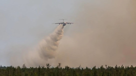 МЧС возбудило уголовное дело из-за крупных лесных пожаров под Рязанью