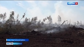 В Гусь-Хрустальном районе у деревни Панфилово ликвидировали торфяной пожар