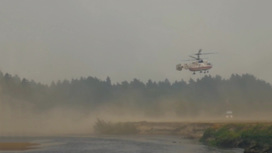 Рязанские лесные пожары не перекинутся на населенные пункты
