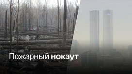 Когда столица избавится от смога