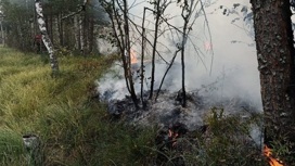 В двух районах Ярославской области потушили торфяные пожары