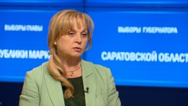 Памфилова рассказала об атаках на систему ДЭГ