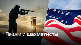 Почему армию Украины уже можно называть американскими наемниками