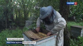 Противостояние аграриев и пчеловодов на Орловщине продолжается