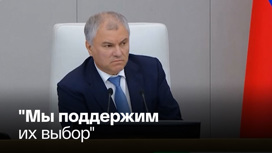 Володин назвал условие воссоединения Донбасса с РФ