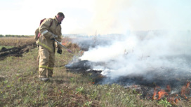 В деревне Большое Седельниково продолжают тушить торфяной пожар