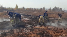 В Свердловской области сократилась площадь лесных пожаров