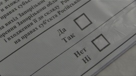 В Запорожье идет заключительный день референдума