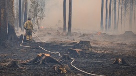 Тушивших крупный пожар в Ивановской области волонтеров наградят
