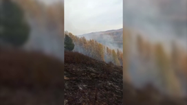 Красноярские огнеборцы помогают в борьбе с лесными пожарами в Республике Тыва