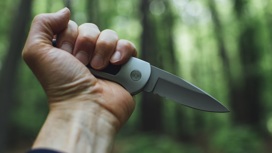 Житель Марий Эл убил знакомого ножом и вывез на мотоблоке в лес