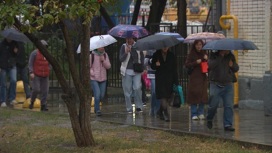 МЧС предупредило москвичей о сильном ветре 4 октября