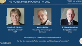 В Стокгольме сегодня объявили имена лауреатов Нобелевской премии по химии