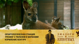 Калининградский зоопарк Серия 7