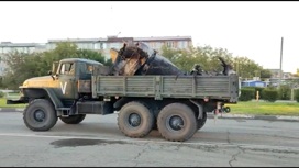 Обломки упавшего в Ейске самолета соберут на местном аэродроме