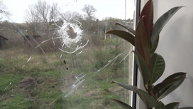 Украинские военные обстреляли поселок в Курской области