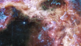 Туманность Тарантул в созвездии Золотая Рыба. Снимок сделан в среднем инфракрасном диапазоне инструментом MIRI, установленном на космическом телескопе Джеймс Уэбб.