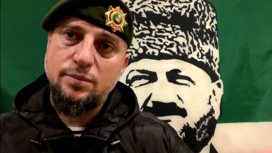 Алаудинов опроверг слухи о массовой гибели чеченских бойцов в Лисичанске