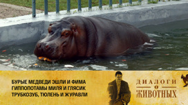 Калининградский зоопарк Серия 10